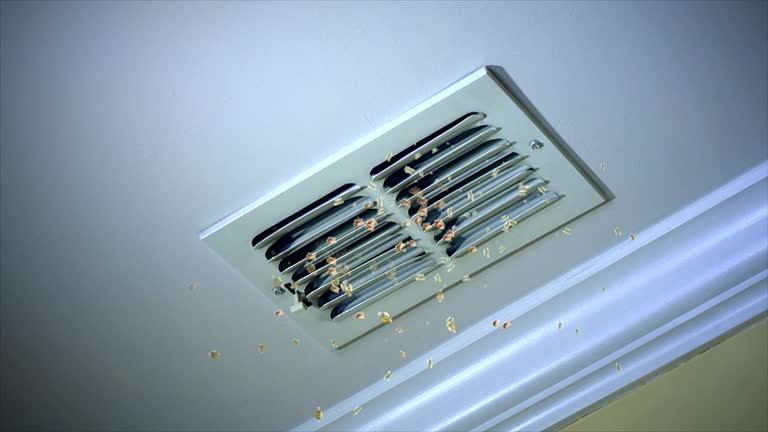 Best Professional Duct Cleaning Services  in Crockett, CA